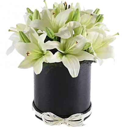  Erzurum Çiçek kutuda beyaz lilyumlar