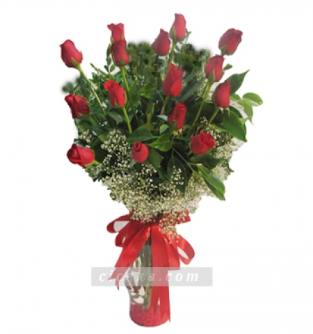fanusta kırmızı sevgi Çiçeği & Ürünü SİLİNDİR VAZODA 15 GÜL 