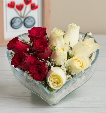  Erzurum Çiçekçiler aşık ve zarif kırmızı güller