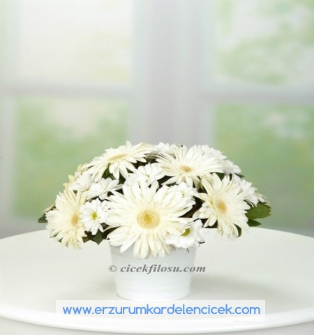 armut teleryum Çiçeği & Ürünü seramik vazoda beyaz prenses 