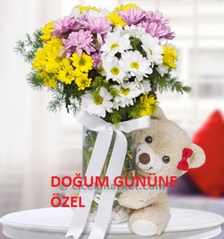 Erzurum Çiçekçi RENKLİ PAPATYA ve AYICIK