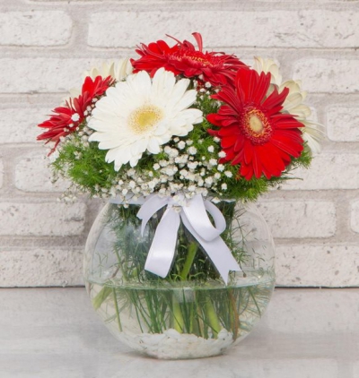  Erzurum Çiçek Gönder beyaz ve kırmızı gelberanın aşkı