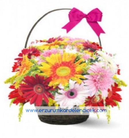 renklı papatyalar Çiçeği & Ürünü çiçek sepeti 