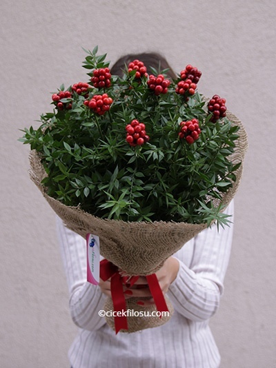 Erzurum Çiçekçi - KOKİNA BUKETİ