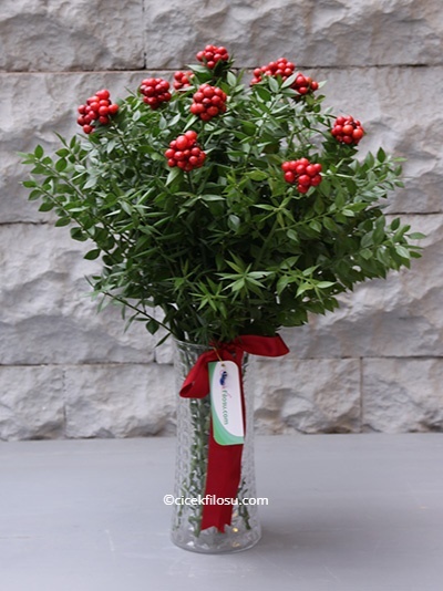  Erzurum da Çiçekçiler - VAZODA KOKİNA