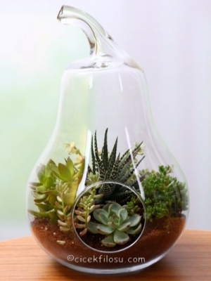  Erzurum a Çiçek Siparişi - ARMUT TELERYUM 2