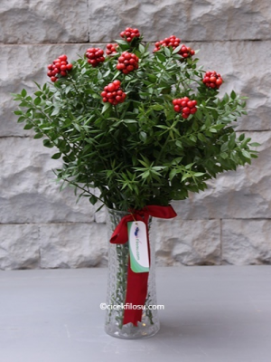  Erzurum da Çiçekçiler - VAZODA KOKİNA